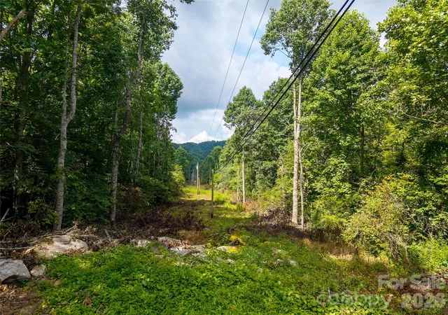 Photo 3 of Land for sale at 00 Sugar Cvs Rd, Clyde, NC 28721 | MLS# 4421297 | Listing updated on 2026-09-03