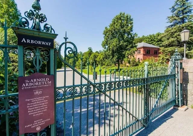 Photo 19 of Condo for sale at 35 Ballard St #3, Jamaica Plain, MA 02130 | MLS# 73575012 | Listing updated on 2026-09-11