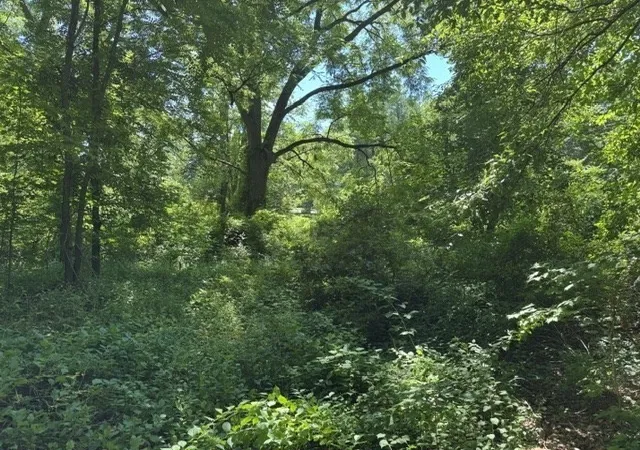 Photo 1 of Land for sale at 327 E Main St, East Brookfield, MA 01515 | MLS# 73582827 | Listing updated on 2026-09-29