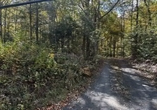 Photo 1 of Land for sale at 0 Woodland Way, Russell, MA 01071 | MLS# 73571901 | Listing updated on 2026-09-17
