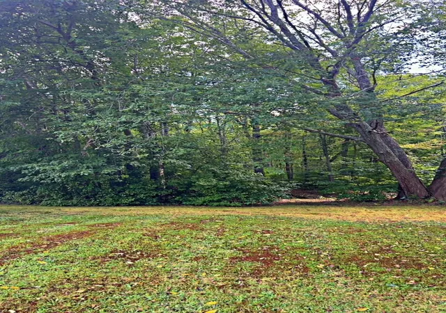 Photo 3 of Land for sale at 0 Bark St, Swansea, MA 02777 | MLS# 73572238 | Listing updated on 2026-09-08