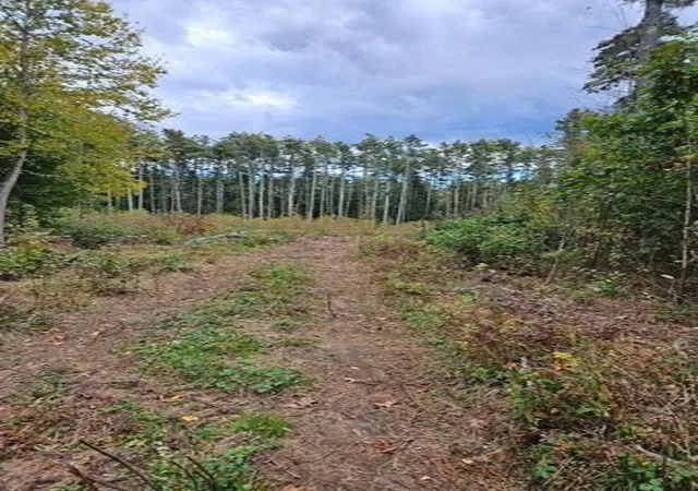 Photo 2 of Land for sale at 53 Daniel Shays Hwy, Orange, MA 01364 | MLS# 73579850 | Listing updated on 2026-09-22