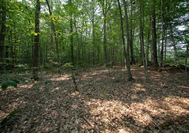 Photo 2 of Land for sale at 0 Shaw Rd, Petersham, MA 01366 | MLS# 73576047 | Listing updated on 2026-09-15