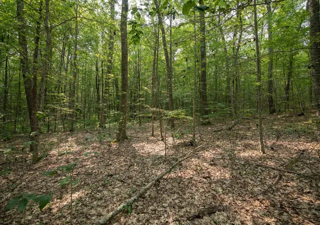Photo 4 of Land for sale at 0 Shaw Rd, Petersham, MA 01366 | MLS# 73576047 | Listing updated on 2026-09-15