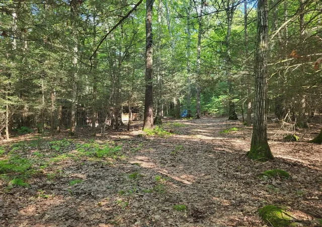 Photo 1 of Land for sale at Xo Pole Brg Rd, Woodstock, CT 06281 | MLS# 73573956 | Listing updated on 2026-09-17