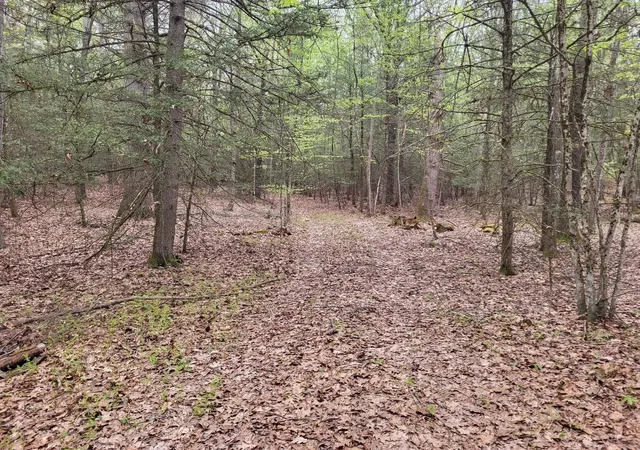 Photo 4 of Land for sale at Xo Pole Brg Rd, Woodstock, CT 06281 | MLS# 73573956 | Listing updated on 2026-09-17