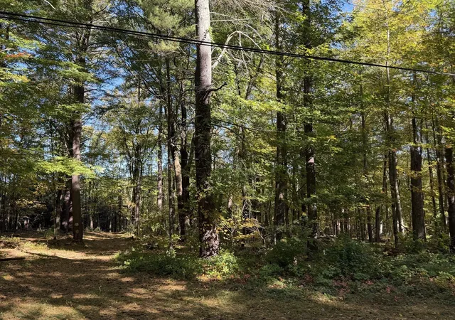 Land for sale at 15 Carrier Ln, Sutton, MA 01590 | MLS# 73587070