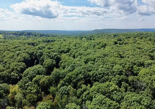 Land for sale at 0 Old Poor Farm Rd, Ware, MA 01082 | MLS# 73571137