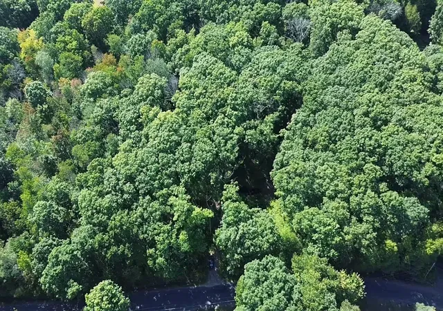 Photo 1 of Land for sale at 0 Old Poor Farm Rd, Ware, MA 01082 | MLS# 73571137 | Listing updated on 2026-09-09