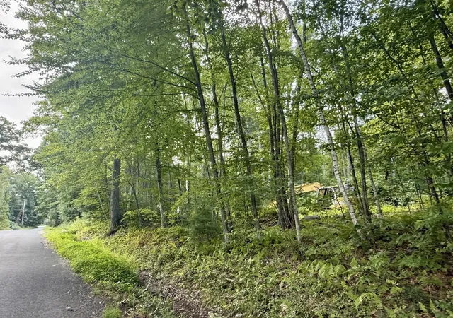 Photo 2 of Land for sale at 0 Old Poor Farm Rd, Ware, MA 01082 | MLS# 73571137 | Listing updated on 2026-09-09
