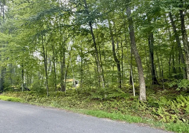 Photo 3 of Land for sale at 0 Old Poor Farm Rd, Ware, MA 01082 | MLS# 73571137 | Listing updated on 2026-09-09