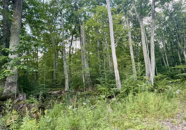 Photo 4 of Land for sale at 0 Old Poor Farm Rd, Ware, MA 01082 | MLS# 73571137 | Listing updated on 2026-09-09