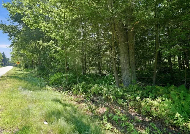 Photo 3 of Land for sale at 32 Berkshire Trl E, Goshen, MA 01032 | MLS# 73573641 | Listing updated on 2026-10-02