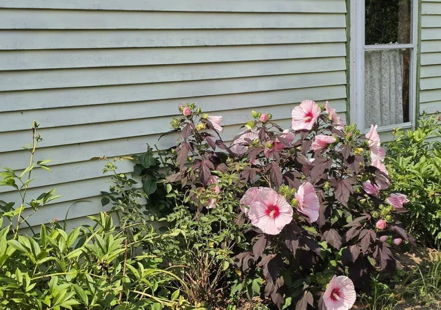 Photo 4 of Sale Pending at 294 Plymouth St, Middleboro, MA 02346 | MLS# 73575720 | Listing updated on 2026-09-19