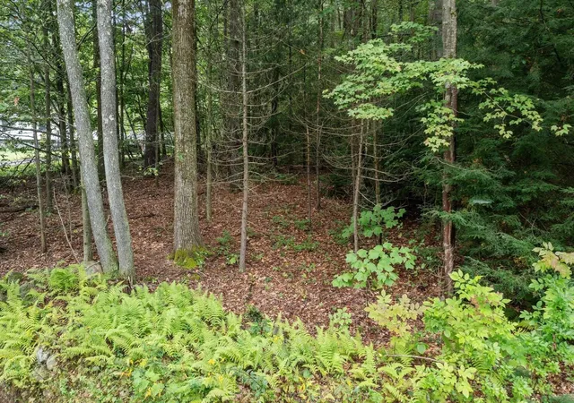 Photo 4 of Land for sale at 0 Wendell Rd, Shutesbury, MA 01072 | MLS# 73575921 | Listing updated on 2026-09-16