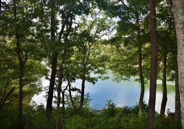 Photo 3 of Sale Pending at 195 Lake Shore Dr, Marstons Mills, MA 02648 | MLS# 73583979 | Listing updated on 2026-10-05