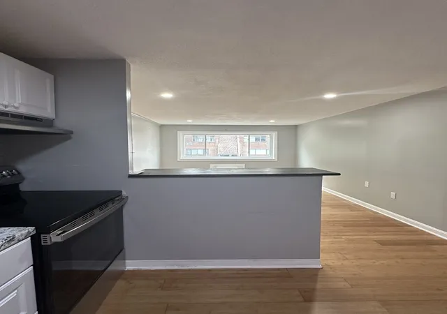 Listing Photo 3 - Condo for sale in building located at 154 2Nd St, Framingham, MA 01702 - Unit #210