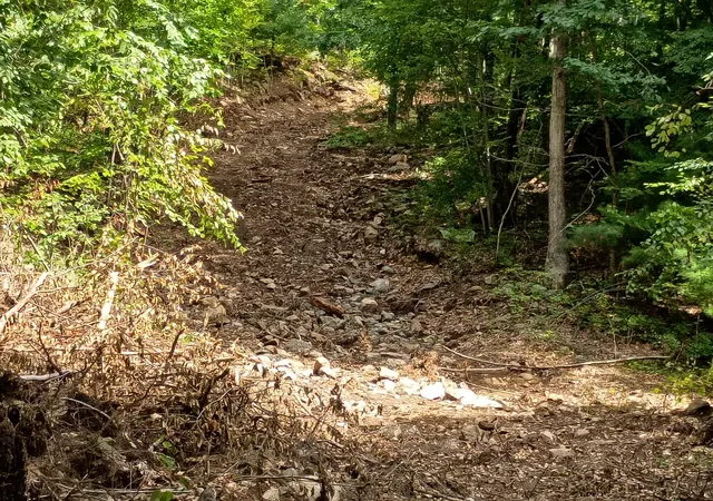 Photo 4 of Land for sale at 90 Chestnut Hl Rd, Millville, MA 01529 | MLS# 73473820 | Listing updated on 2026-09-02