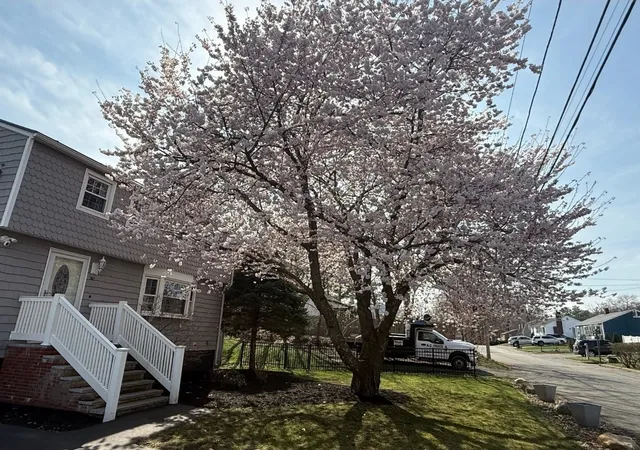 Single family home for sale at 30 Pratt St, Tewksbury, MA 01876 | MLS# 73584348