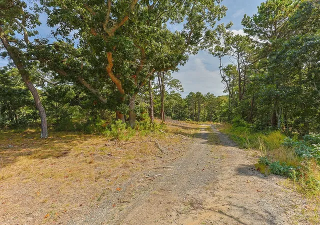 Photo 3 of Land for sale at 7 Arrowhead Farm Rd, North Truro, MA 02652 | MLS# 73589438 | Listing updated on 2026-10-15