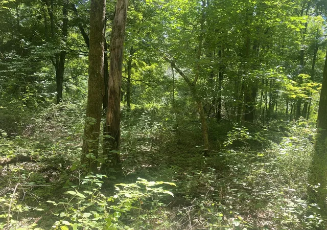 Photo 3 of Land for sale at Lot 23 South Rd, Hampden, MA 01036 | MLS# 73570145 | Listing updated on 2026-09-11