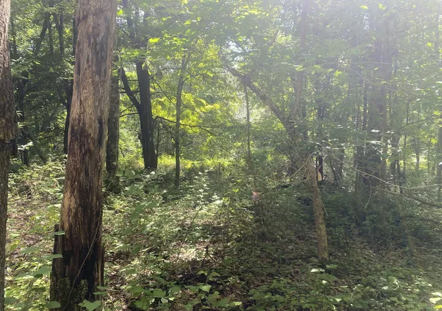 Photo 4 of Land for sale at Lot 23 South Rd, Hampden, MA 01036 | MLS# 73570145 | Listing updated on 2026-09-11