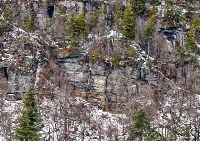 Photo 4 of Land for sale at 0 State Rd Lot, Erving, MA 01344 | MLS# 73570604 | Listing updated on 2026-09-05