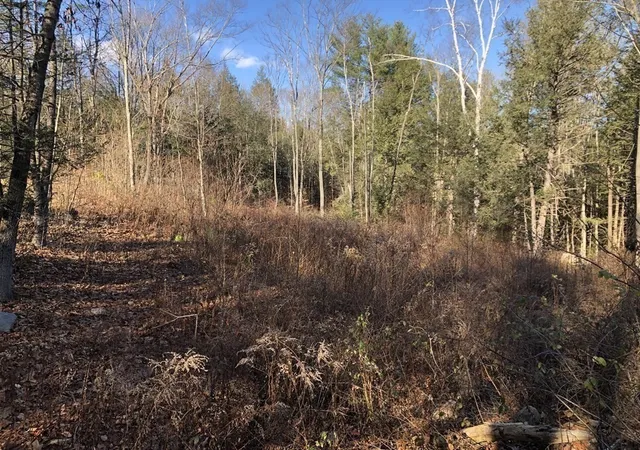 Photo 2 of Land for sale at 0 Potato Hl Rd, Westminster, MA 01473 | MLS# 73586380 | Listing updated on 2026-10-08