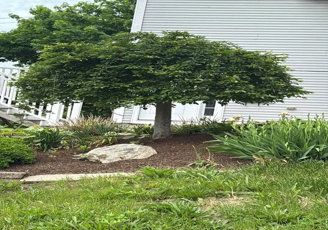 Photo 3 of Single family home for sale at 1 Clegg St, Worcester, MA 01603 | MLS# 73571340 | Listing updated on 2026-09-16