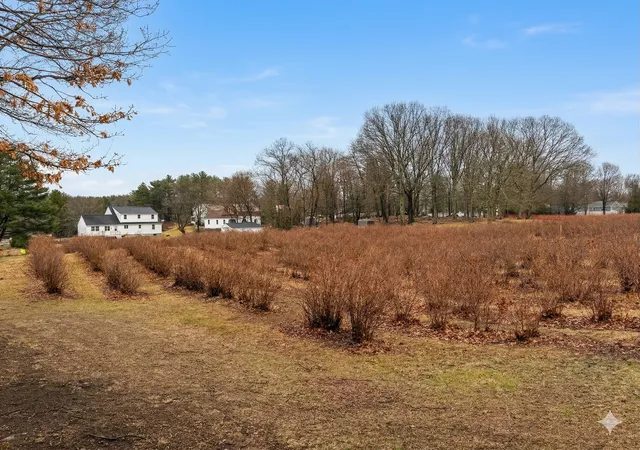 Photo 3 of Land for sale at Lot 1 Adin St, Franklin, MA 02038 | MLS# 73587375 | Listing updated on 2026-10-10