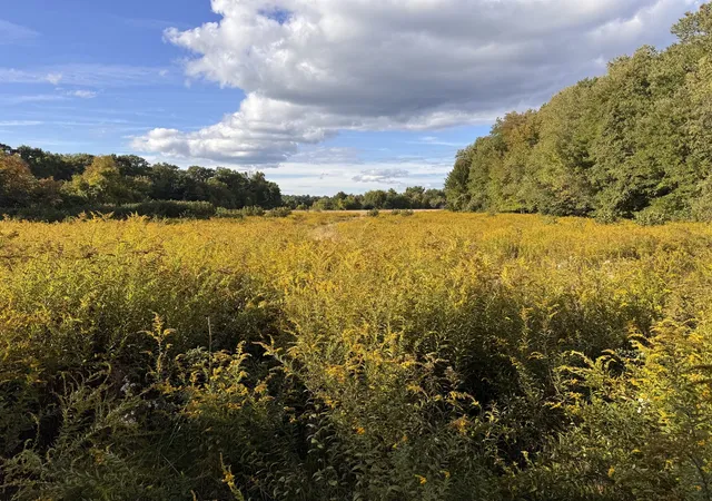 Photo 1 of Land for sale at 30v Lot 1 Red Brg Rd, Wilbraham, MA 01095 | MLS# 73585953 | Listing updated on 2026-10-06