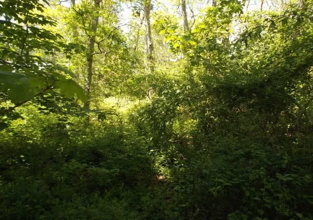 Land for sale at 0 Old Country Ln, Vineyard Haven, MA 02568 | MLS# 73571746