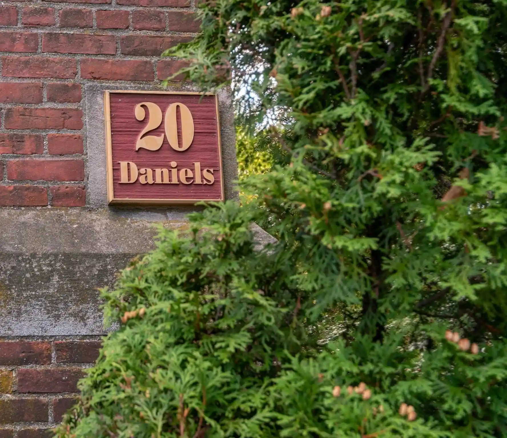 Listing Photo 36 - Condo for sale in 20-30 Daniels St located at 20-30 Daniels St, Malden, MA 02148 - Unit #318