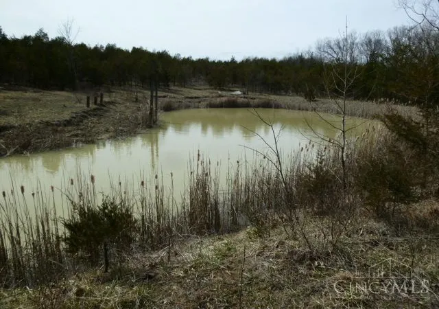 Photo 2 of Land for sale at St Rt 41, Peebles, OH 45660 | MLS# 1872461 | Listing updated on 2026-09-10