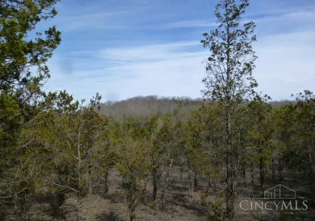 Photo 3 of Land for sale at St Rt 41, Peebles, OH 45660 | MLS# 1872461 | Listing updated on 2026-09-10