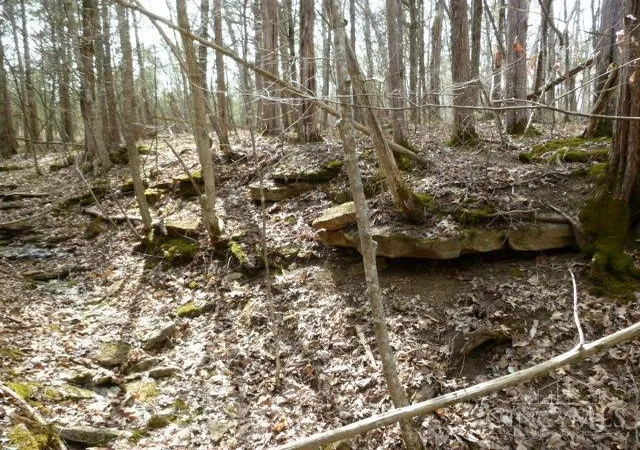 Photo 3 of Land for sale at St Rt 41, Peebles, OH 45660 | MLS# 1872461 | Listing updated on 2026-09-10