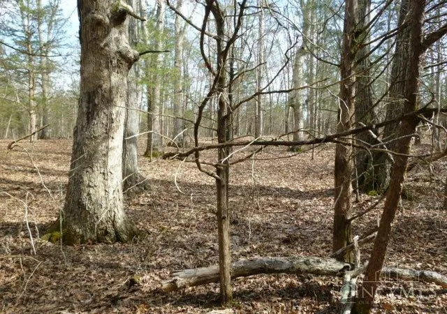 Photo 4 of Land for sale at St Rt 41, Peebles, OH 45660 | MLS# 1872461 | Listing updated on 2026-09-10