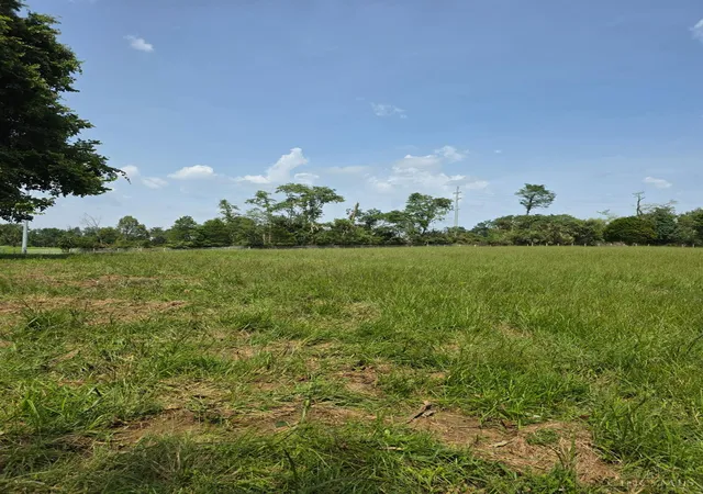 Photo 2 of Land for sale at Lot A Fagins Run Rd, Pierce Twp, OH 45157 | MLS# 1884630 | Listing updated on 2026-10-08