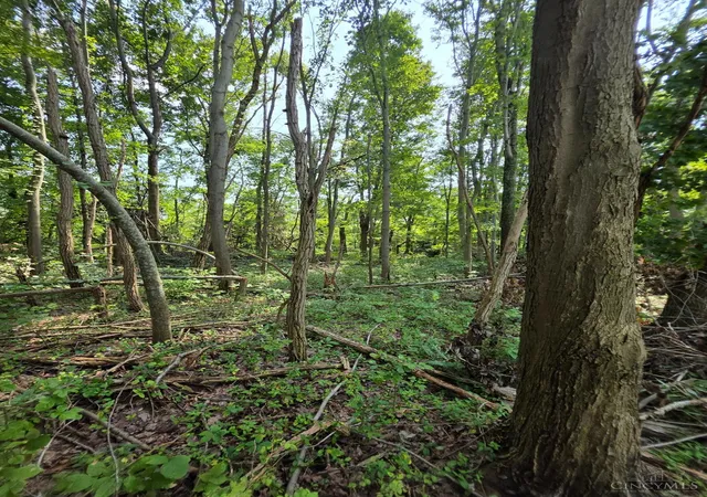 Photo 4 of Land for sale at Lot B Fagins Run Rd, Pierce Twp, OH 45157 | MLS# 1884632 | Listing updated on 2026-10-08