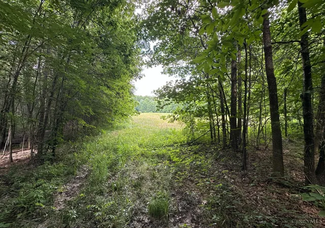 Photo 3 of Sale Pending at Woodhaven Ln, Goshen, OH 45122 | MLS# 1887107 | Listing updated on 2026-09-08