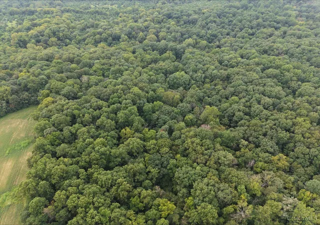 Photo 4 of Land for sale at Harriet Rd, Marshall Twp, OH 45133 | MLS# 1892512 | Listing updated on 2026-09-02