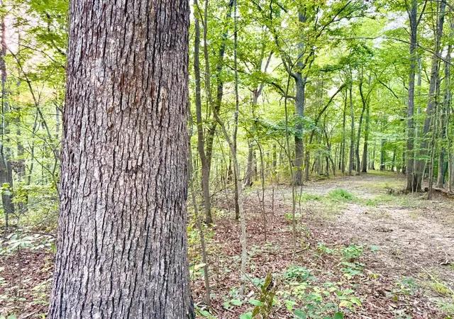 Photo 4 of Land for sale at Greenbriar, Portsmouth, OH 45662 | MLS# 1892870 | Listing updated on 2026-09-09
