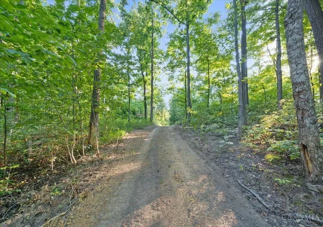 Photo 2 of Land for sale at 113 Waggoner Riffle Rd, West Union, OH 45693 | MLS# 1893105 | Listing updated on 2026-09-10