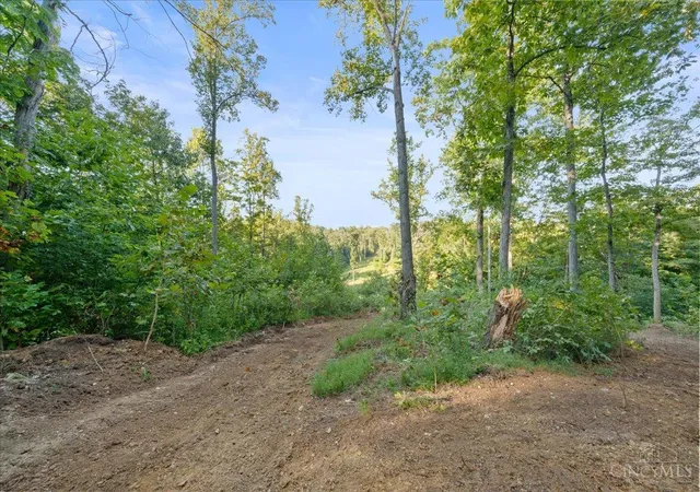 Photo 3 of Land for sale at 113 Waggoner Riffle Rd, West Union, OH 45693 | MLS# 1893105 | Listing updated on 2026-09-10