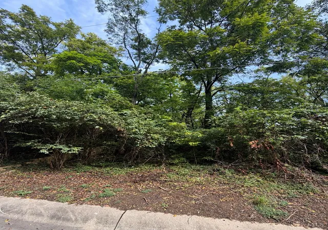 Photo 3 of Land for sale at 1642 Sutter Ave, Cincinnati, OH 45225 | MLS# 1893471 | Listing updated on 2026-09-11