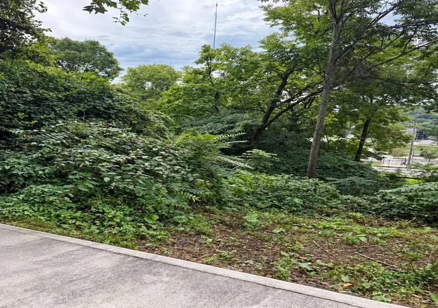 Photo 2 of Land for sale at 1621 Tremont St, Cincinnati, OH 45214 | MLS# 1893474 | Listing updated on 2026-09-14