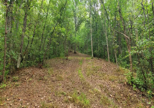 Photo 3 of Land for sale at 398 Bear Crk Rd, Felicity, OH 45120 | MLS# 1893783 | Listing updated on 2026-09-14