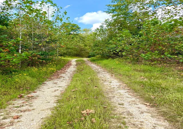 Photo 1 of Land for sale at Roy Rogers Rd, Lucasville, OH 45648 | MLS# 1893775 | Listing updated on 2026-09-15