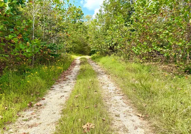 Photo 1 of Land for sale at Roy Rogers Rd, Lucasville, OH 45648 | MLS# 1893775 | Listing updated on 2026-09-15