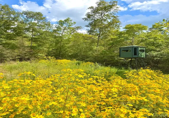 Photo 4 of Land for sale at Roy Rogers Rd, Lucasville, OH 45648 | MLS# 1893775 | Listing updated on 2026-09-15